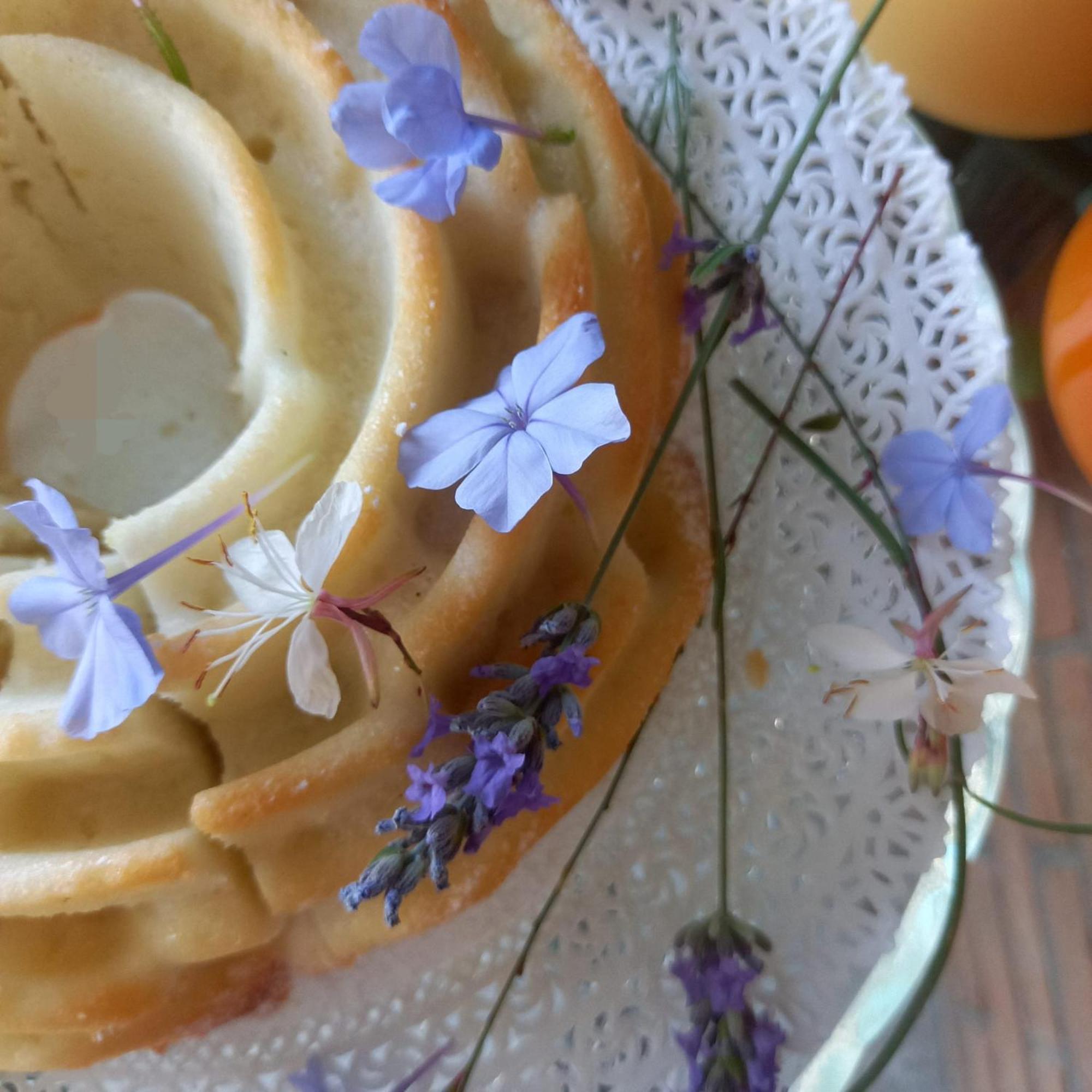 Aura Relais Bed & Breakfast Numana Ngoại thất bức ảnh
